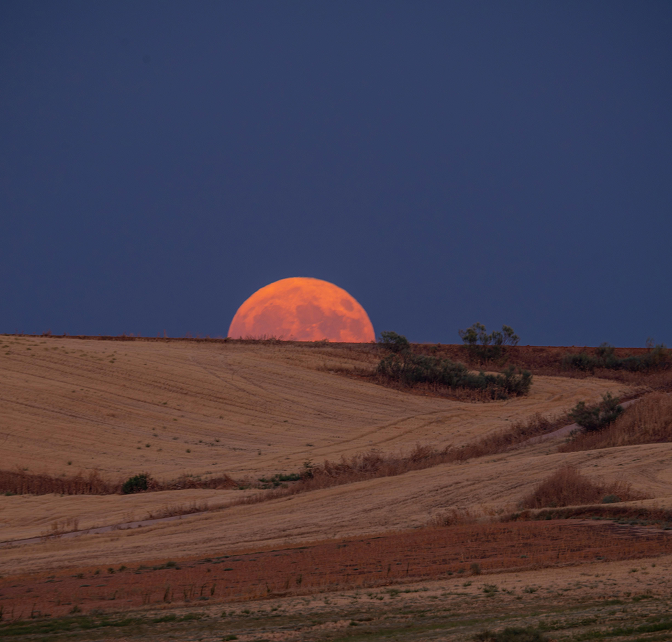 Moonrise in the desert